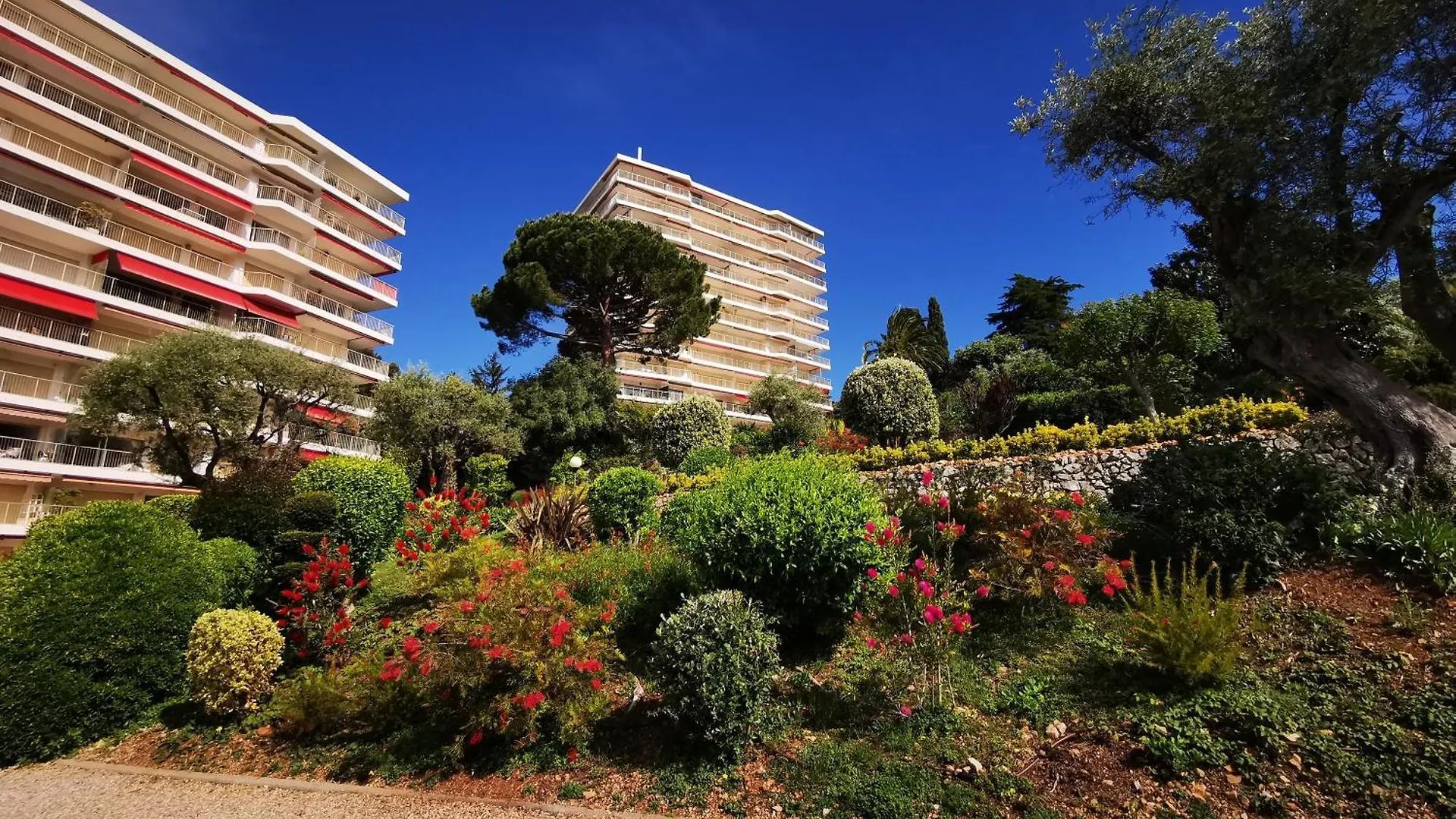 Cosy Studio,Piscine,Parc Fleuri,Residence Standing,Parking Antibes France